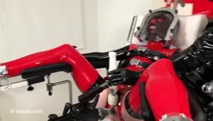 Webcam Masturbation Free Sex Toy Porn Video