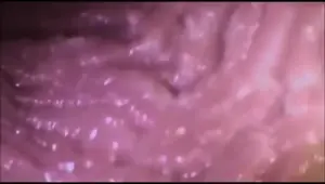 Cock Cums In Pussy Internal View