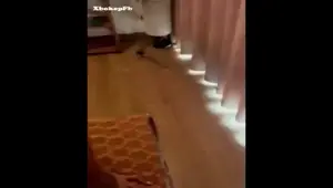 Viral Bokep Indo Terapis Pijat Kasih Pelayanan Extra