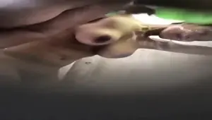Ngintip Mandi Bareng Dua Wanita Toge