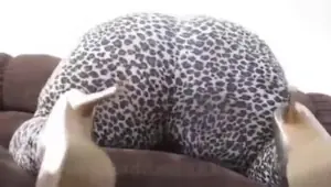 BBW Mexican booty in leopard skin