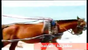 Beach porn videos