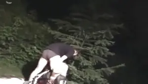 On a hot summer's night in the Polish countryside