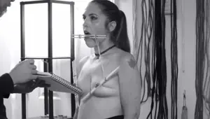 Reinforcement Training Session 02: Toy Is Not A .