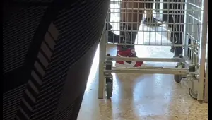 right up sexy womans arse
