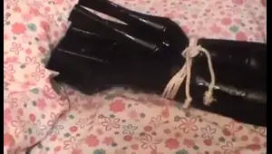 cat burglar