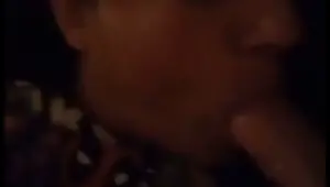 feeding cock