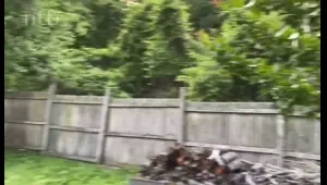 ntb ir bkyrd housewife fucks her friend in the backyard whi