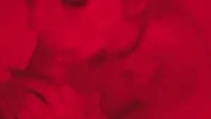 Red District Pleasure Jessica Fox