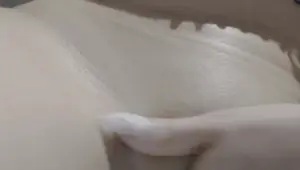 I get horny on the beach so I go to the public toilet