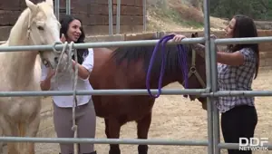 Missy Martinez Lylith Lavey Are Horny Wet AF While Fucking In The Barn