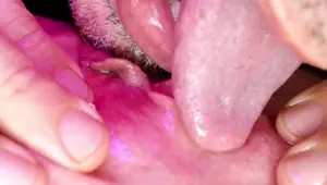Pussy Eat Out Cherry Pie MolliPoP