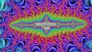 DIRTY BREEDING WHORE GETS IMPREGENATED AND CREAMPIED DEEP DADDY DOM EROTICA