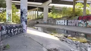 Hood Whiteboy Fucking Slim Thick Black Girl Under The Bridge