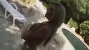 Hot milf fucks the gardener video 1