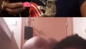 Thot fist her pussy ig live Lana Rhoades