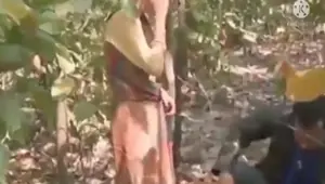 Kachra binne vali ladki ko pata ke jungle me choda desi girls