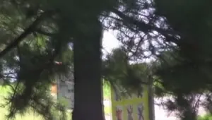 DADDYRAUNCH Japanese whore pissing