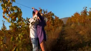 TONYBUCKS Outdoors teen sex in doggy style pose