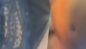 Pulled over for a quickie