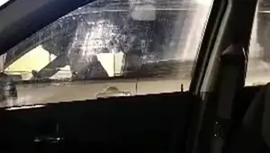 Car cock flash 14