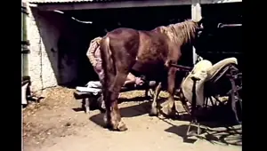 Spanish Fly 1985