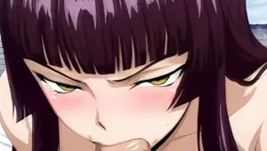 Fairy Tail Kagura Hen