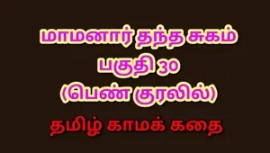 Tamil Kama Kathai : My Father in Law's Desires Part 30 : Tamil Sex Story