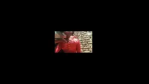 Hot Indian desi stepsister fuking stepbrother very hardcore video in Hindi audio
