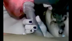 The Best Bisexual Blowjob You Will See Today