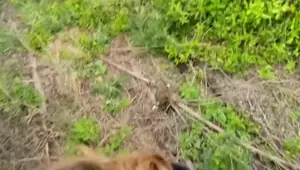 Exhibitionism compilation Public play POV